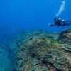 日差しは強い八丈島、八重根とナズマドで【ダイビング】
