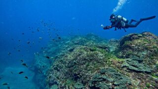 日差しは強い八丈島、八重根とナズマドで【ダイビング】