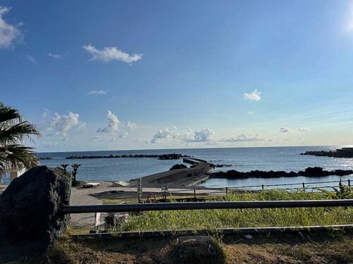 朝の底土