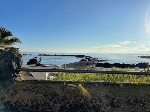 朝の底土