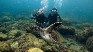 雲は増えてた八丈島、概ね落ち着いていた八重根で【体験ダイビング】