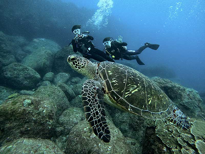 雨は弱まる八丈島、八重根とナズマドで【体験ダイビング】 - 八丈島
