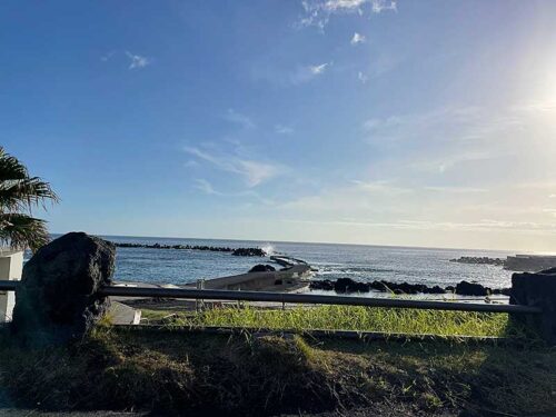 朝の底土