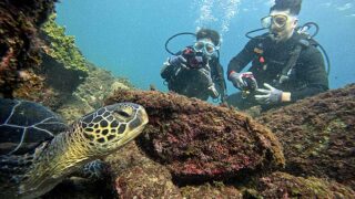 少し風吹く八丈島、八重根とナズマドで【体験ダイビング】