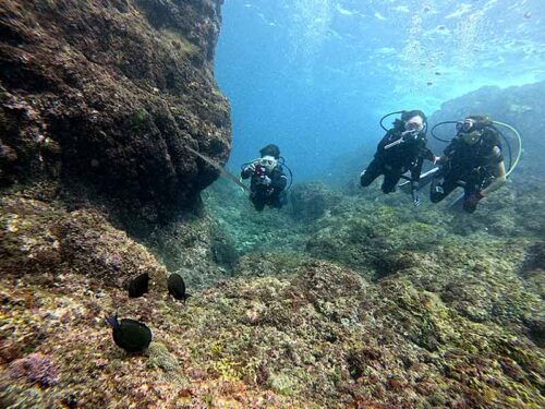 魚も見ながらちょっと沖まで泳いで出て行き