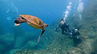 風は弱めな八丈島、落ち着いていた八重根で【体験ダイビング】