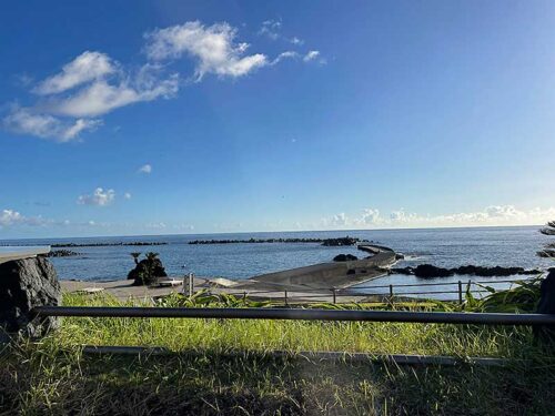 朝の底土