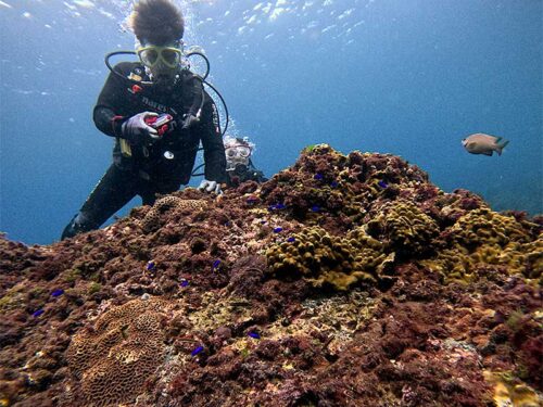 魚も見ながら海に慣れて頂いて