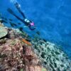 次第に青空広がる八丈島、八重根とナズマドで【ダイビング】