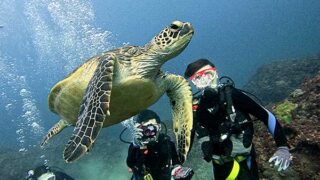 青空見られた八丈島、うねりはあるが八重根で【体験ダイビング】