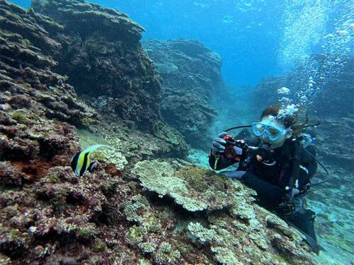 ツノダシ撮ったり