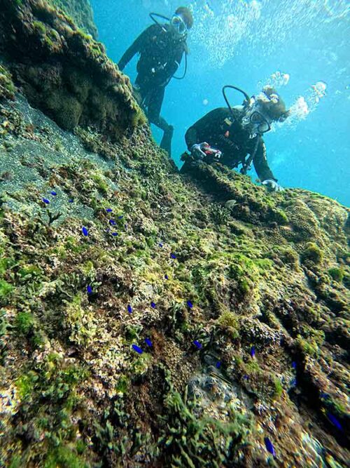 魚も見ながら浅場でゆっくり海に慣れ