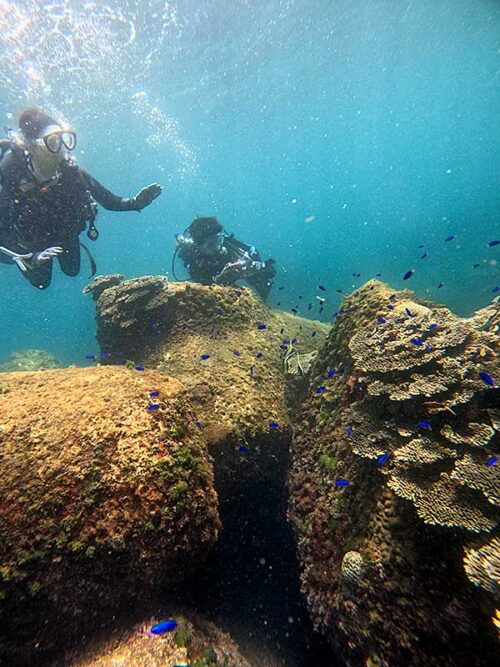 色々見ながらゆっくり周り