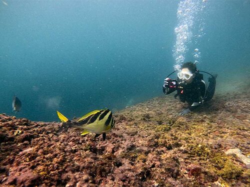 ミギマキ撮ったり
