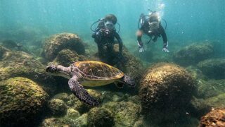 少し風吹く八丈島、少しパシャつく八重根で【体験ダイビング】