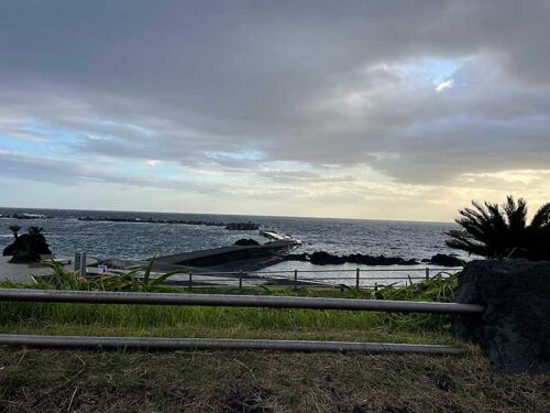 朝の底土