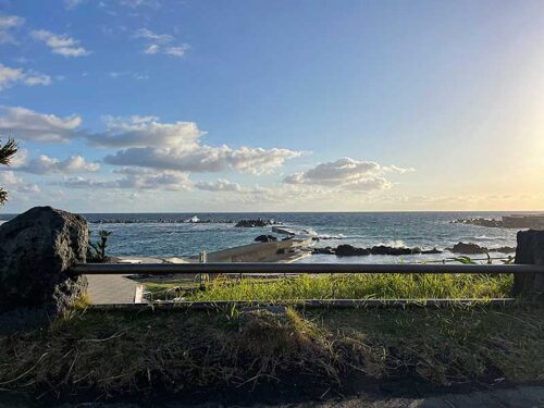 朝の底土