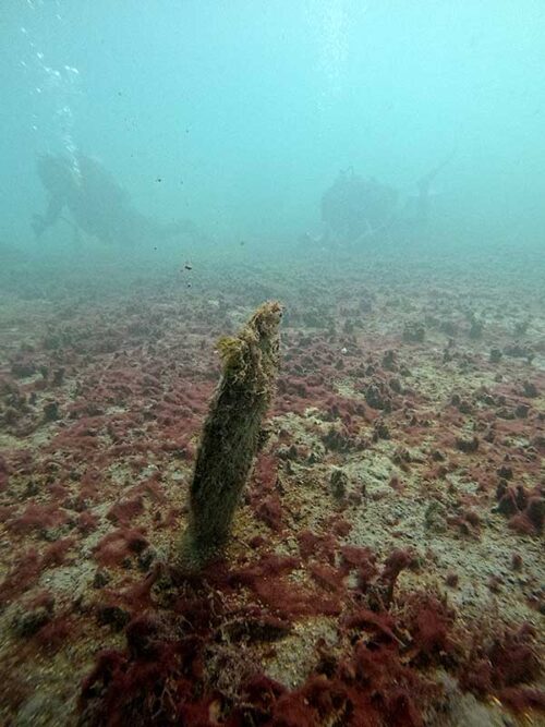 神湊の湾内グルっと周り