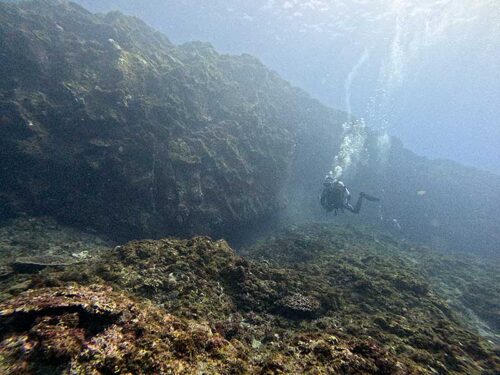 浅場もちょっと泳いで周り