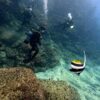 少し雲ある八丈島、時折うねりも感じるが八重根で【ダイビング】