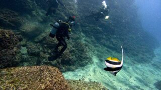 少し雲ある八丈島、時折うねりも感じるが八重根で【ダイビング】