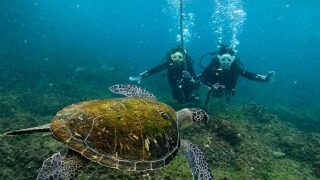 雨も降ってた八丈島、バシャバシャしていた八重根で【体験ダイビング】