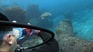 風は強まる八丈島、概ね落ちつく底土で【体験ダイビング】