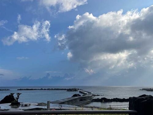 朝の底土