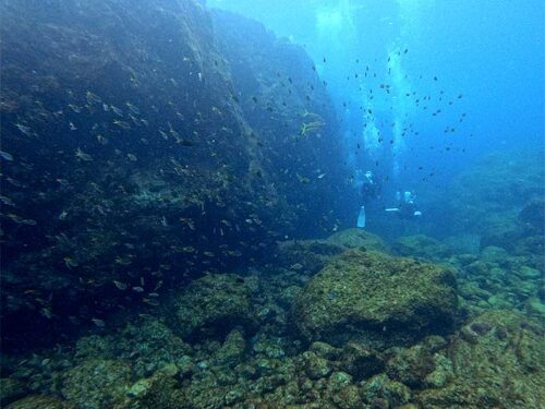 馬の背沿いにのんびり周り