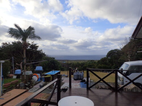 朝のショップから